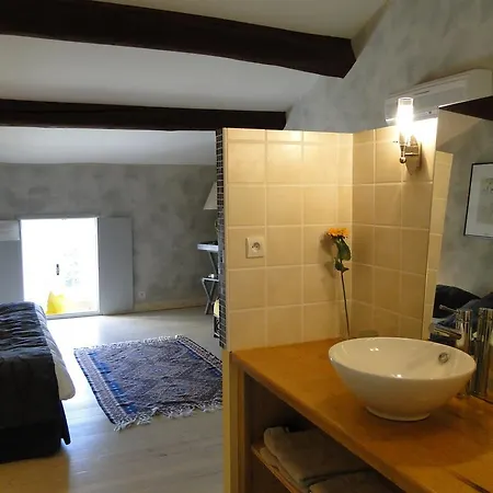 Le Mas D'orsan Bed and Breakfast *
